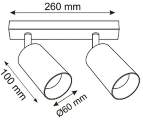 Zuma Line 2211BD-2-GLD - Spotlámpa REN 2xGU10/50W/230V arany