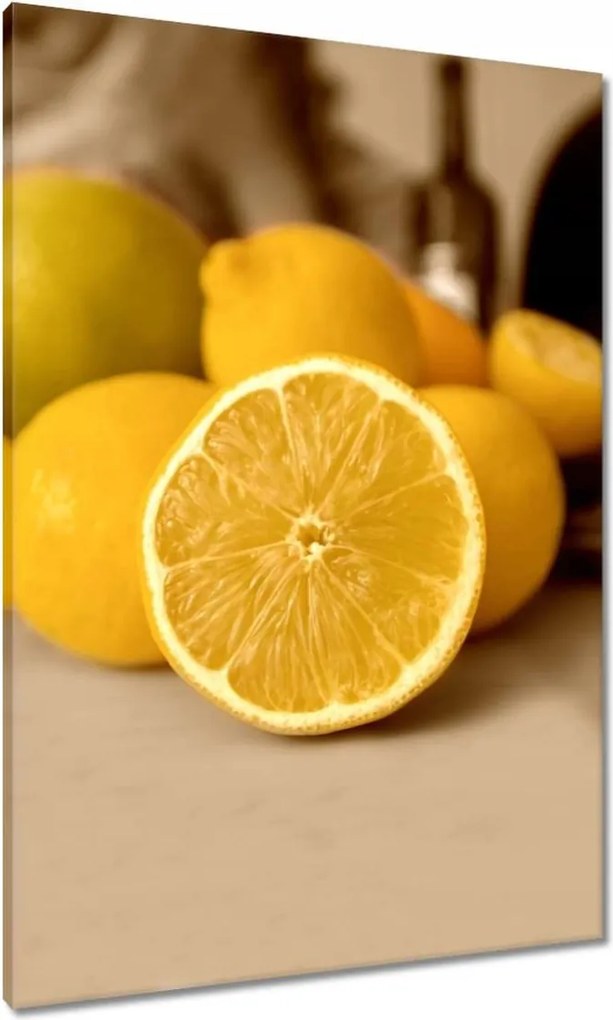 Vászonkép 70x100 Szépia citrom