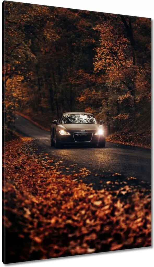 Vászonkép 80x120 Audi Őszi tájkép