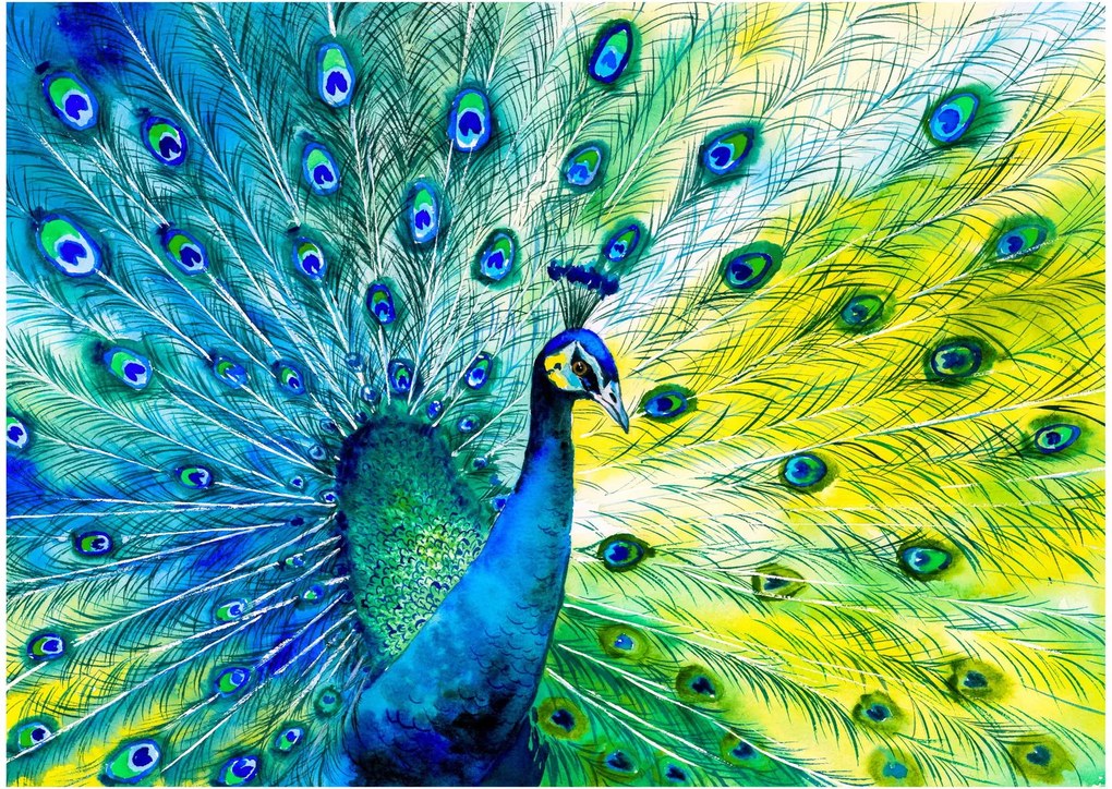 Páva képe (üvegen) (70x50 cm)