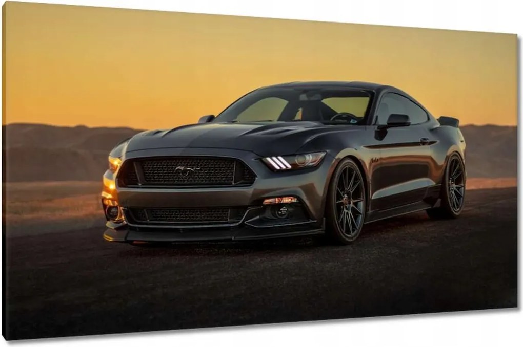 Képek 120x70 Ford Mustang made in Usa