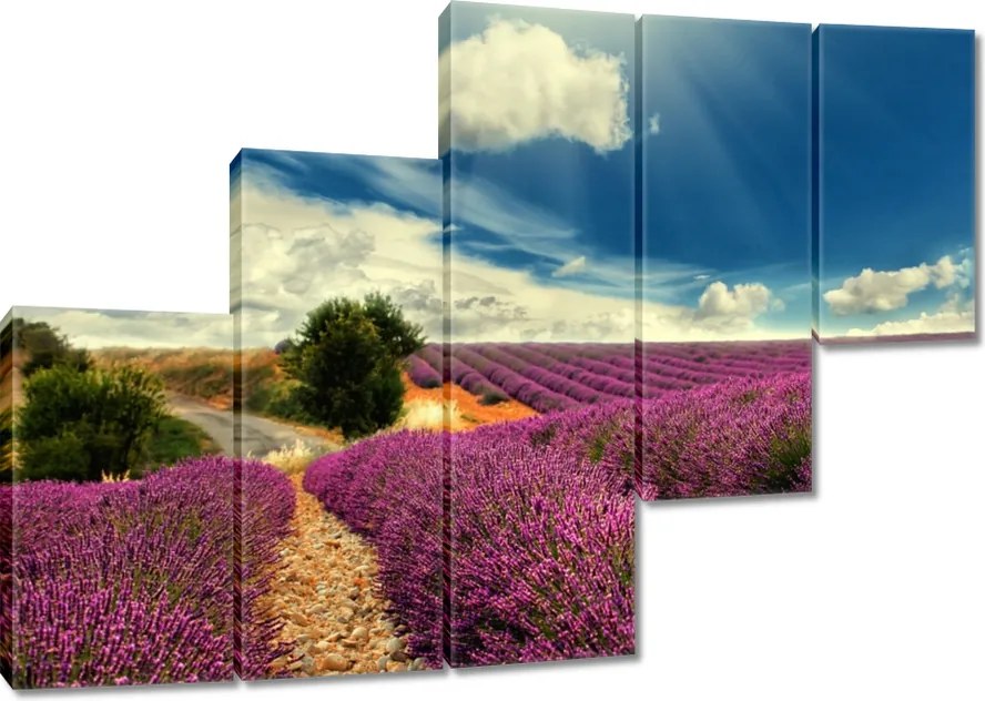 Vászonkép 150x105 Levendulamező