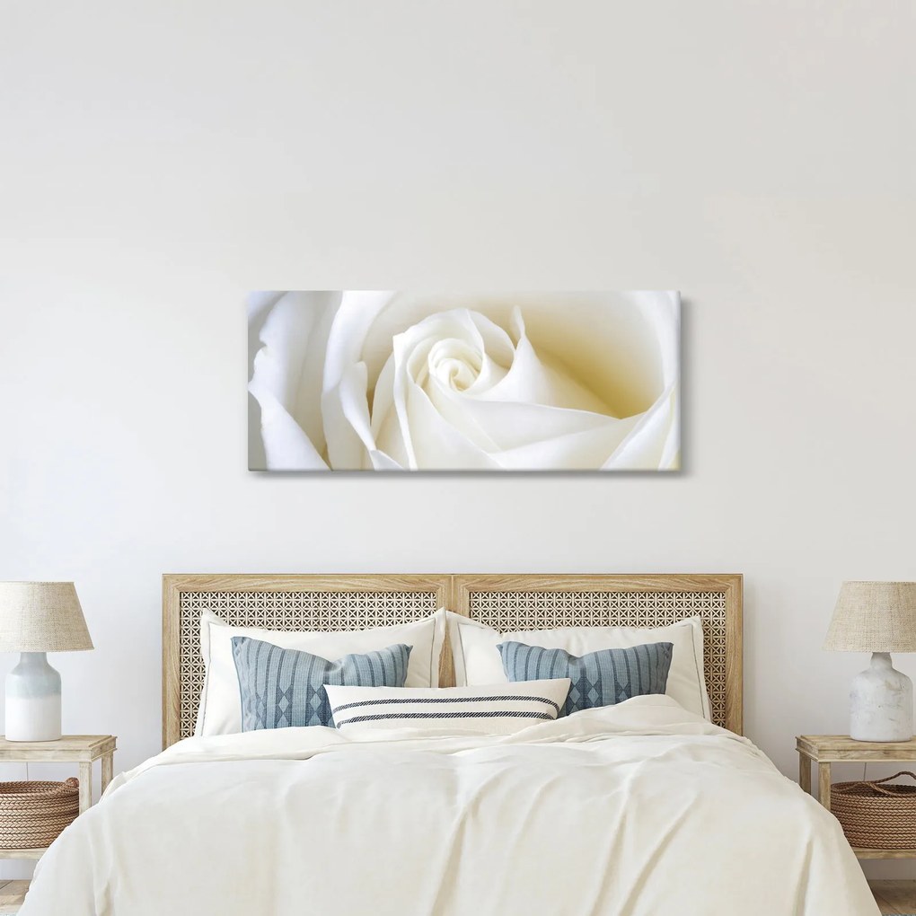 Egy fehér rózsa képe (120x50 cm)
