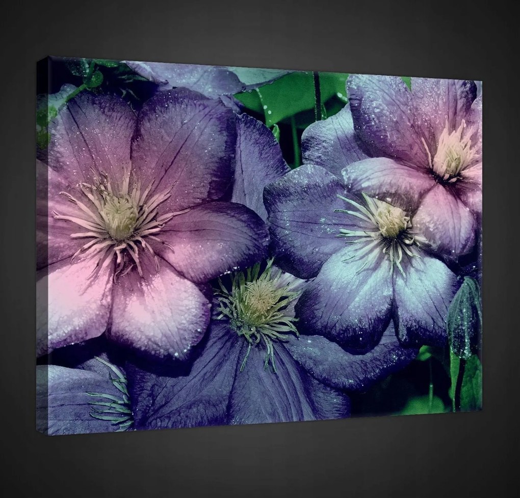 Faliképek Vászonkép virágok 100x75