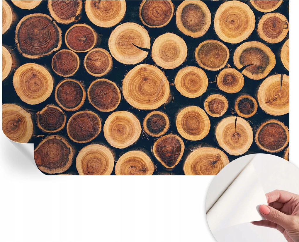 Dekoratív Öntapadós Tapéta Divatos Minták Fa körök 416x254 cm