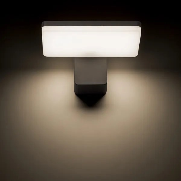 RED - Design Rendl-R11947- LED Kültéri fali lámpa RINA LED/12W/230V IP65