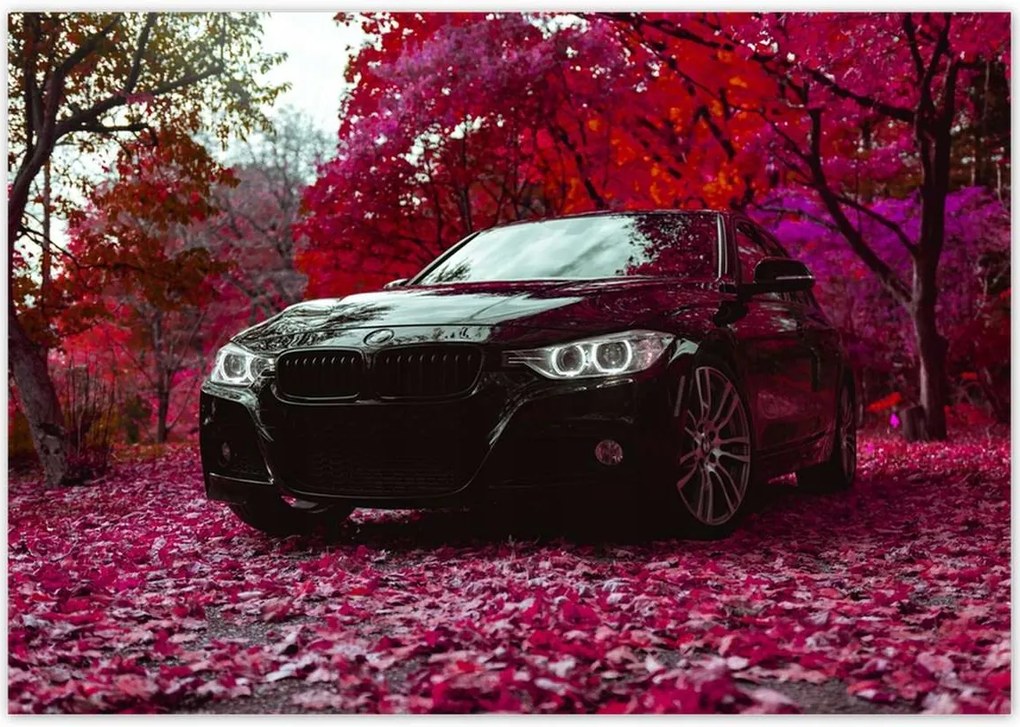 Poszterek 100x70 Fekete Bmw Ősz