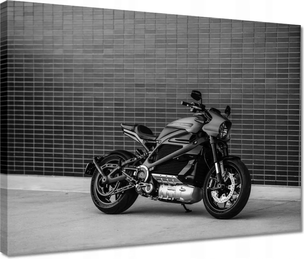 Vászonkép 40x30 Harley Davidson Motorkerékpár