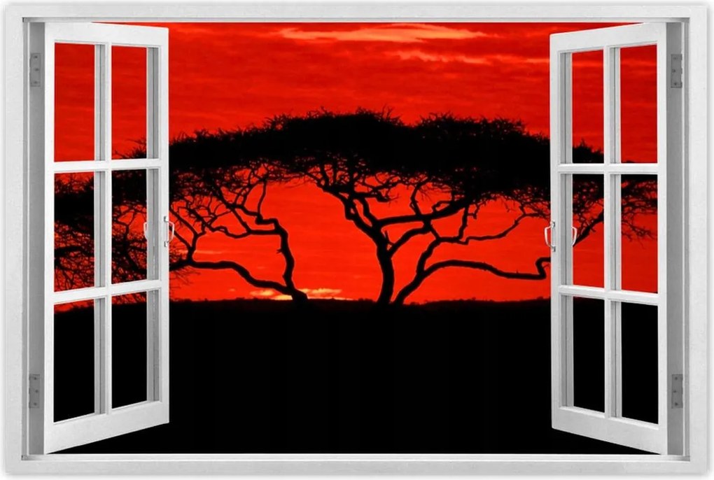 Poszterek 60x40 Akác Afrikában