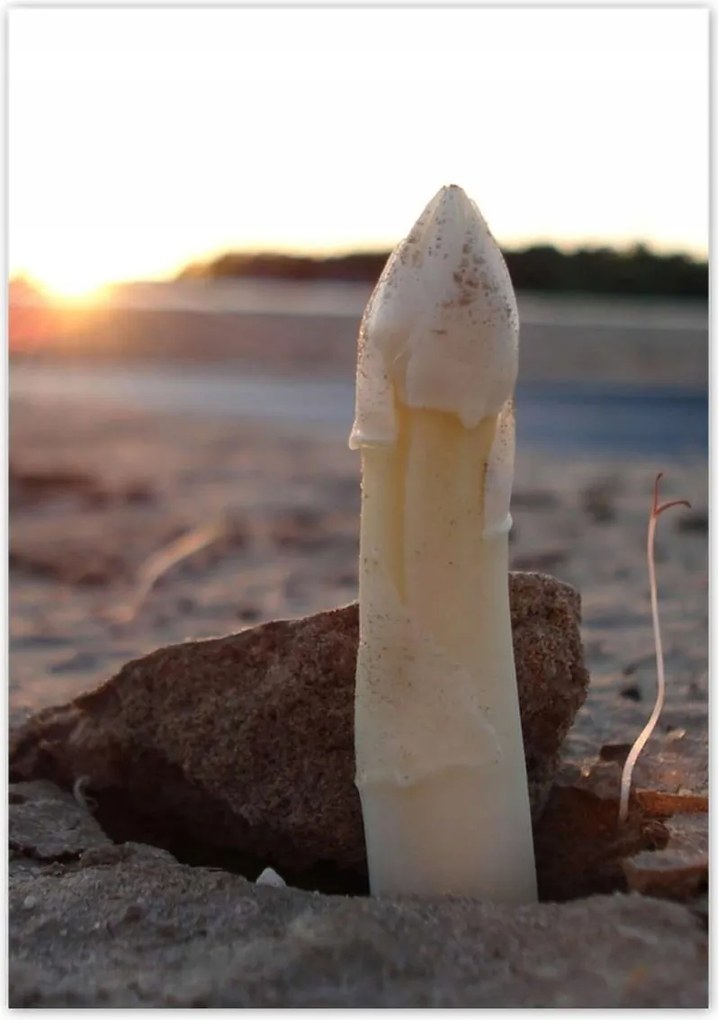 Poszterek 70x100 Első spárga