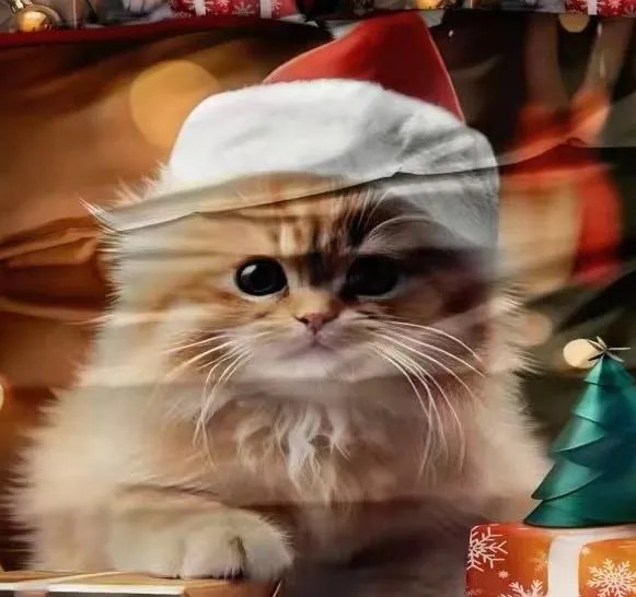 Agynemű SAVENA CAT 3 részes 140X200 cm