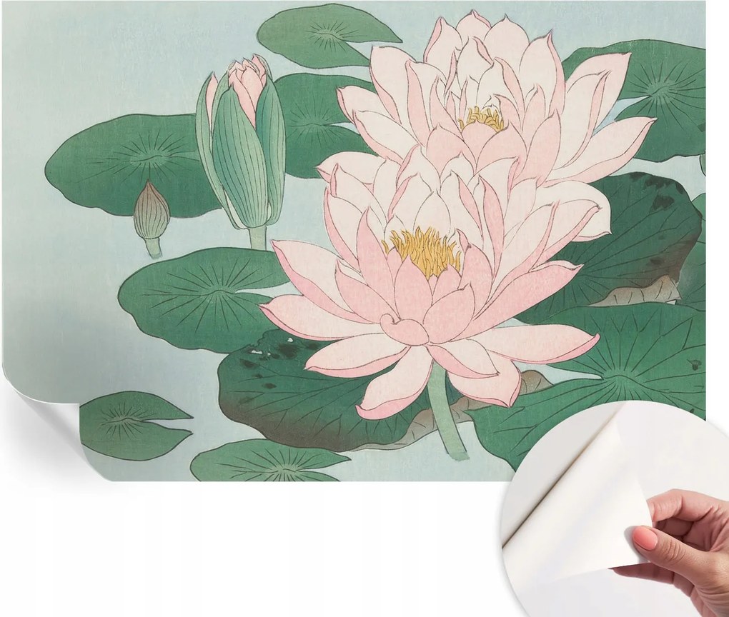 Öntapadós Dekoratív Fotótapéta Hálószobába Vízi lótusz 152x104 cm