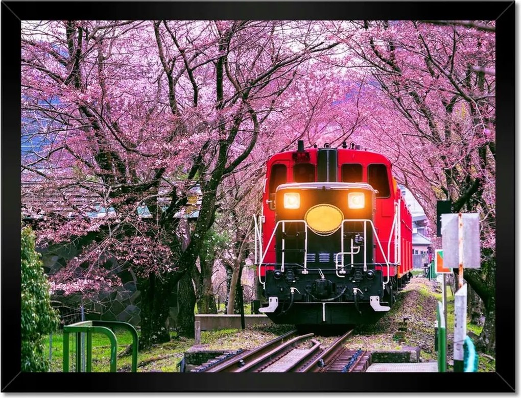Poszterek keretben 40x30 Piros vonat rózsaszín virágok között Vasút