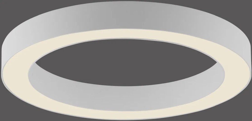 Paul Neuhaus modern mennyezeti lámpa pure lines round fehér pln6310-16