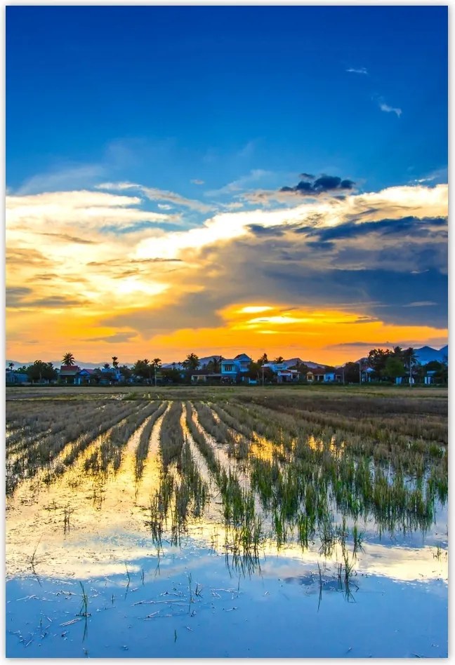 Poszterek 105x155 Kilátás Tájkép