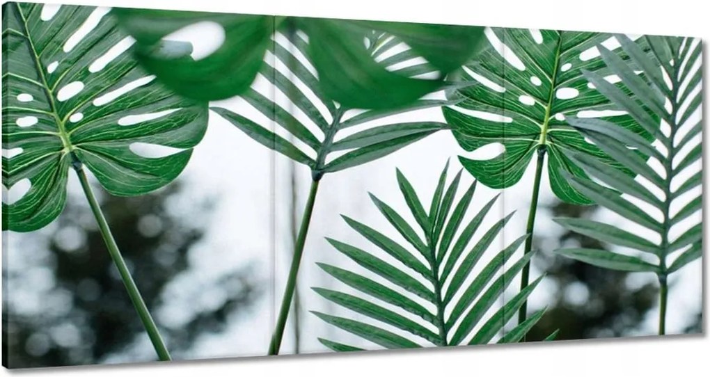 Vászonkép 180x90 Mosnter levelei lyukas