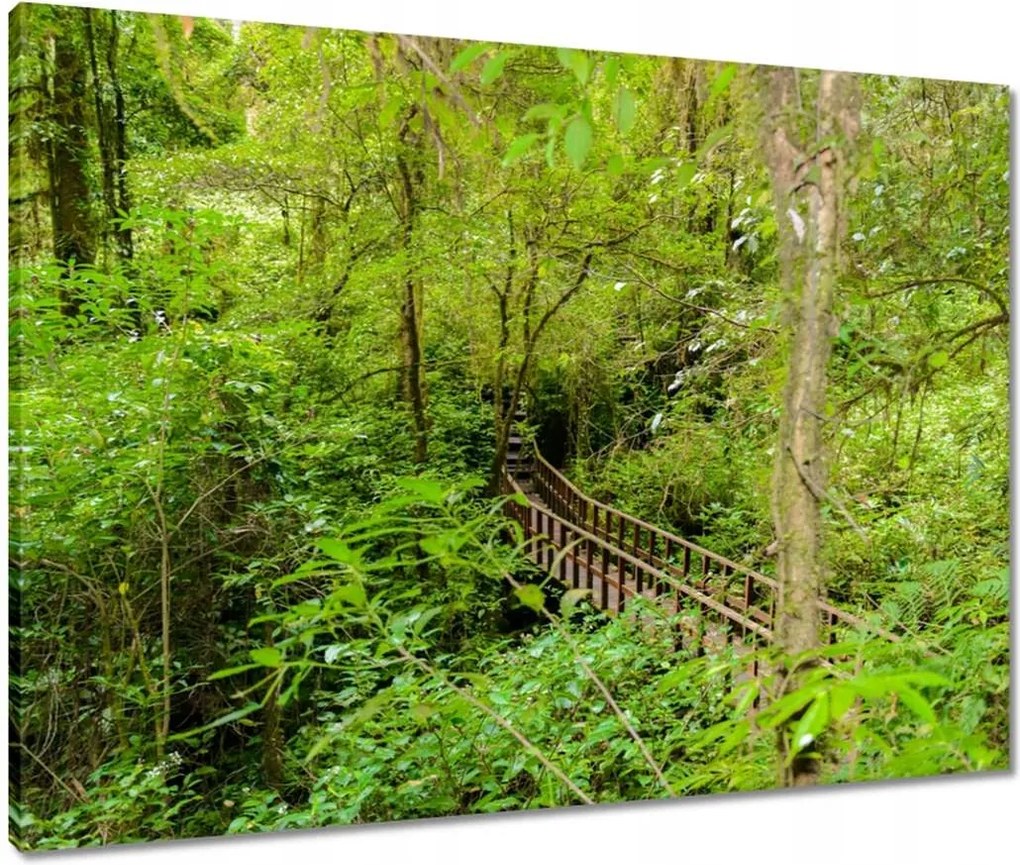 Vászonkép 80x60 Tájkép park