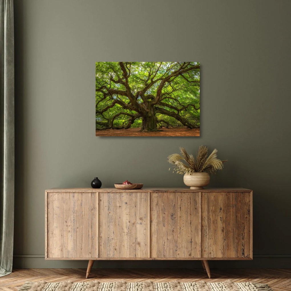 Üveg kép - Zöld fa (70x50 cm)
