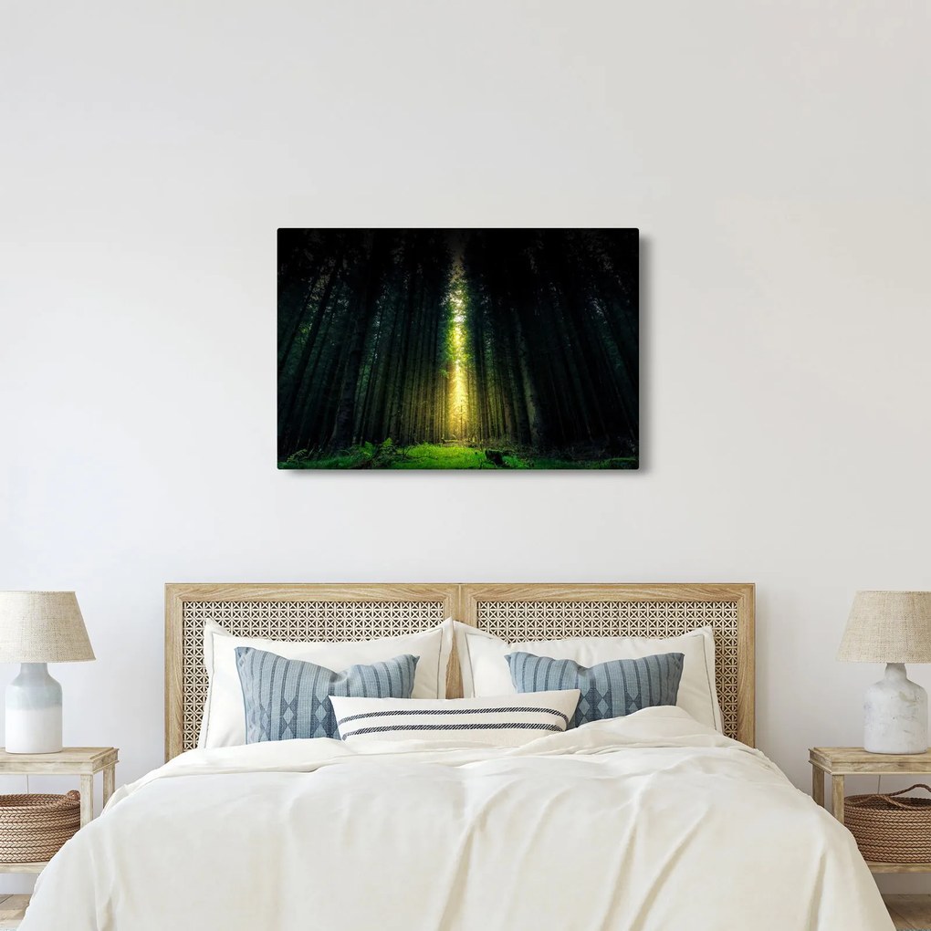 Sötét erdő képe (90x60 cm)
