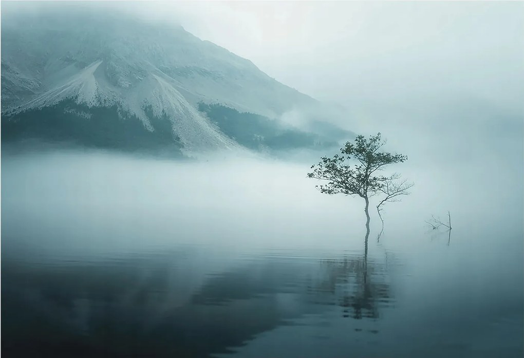 Fotótapéta Flizelin Dekoratív tapéta A természet misztikuma 152x104 Ragasztó