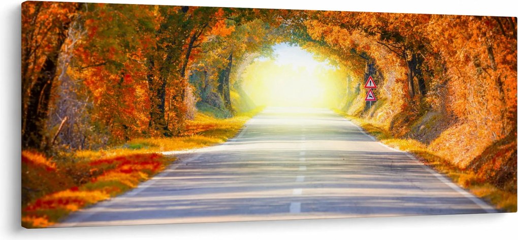 Kép - kapu a fák koronájából (120x50 cm)
