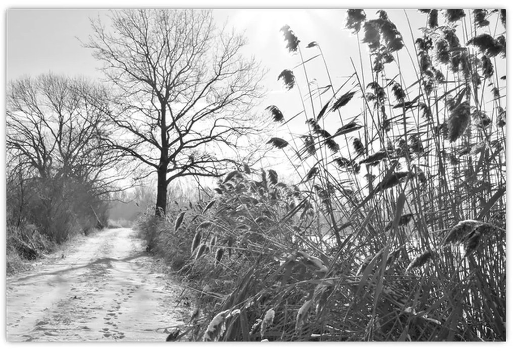 Kép - Mezők télen (90x60 cm)