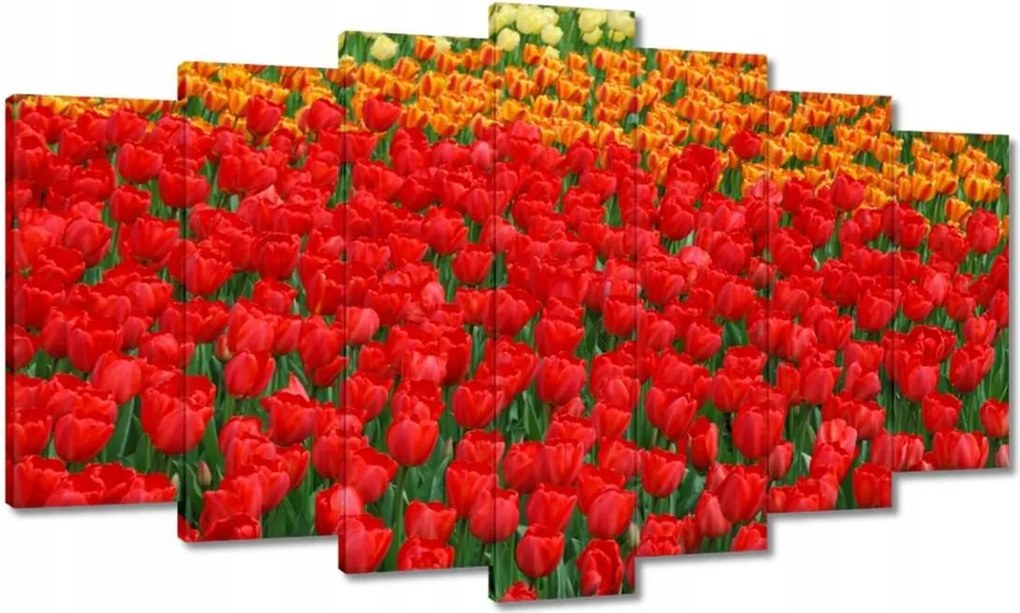 Vászonkép 140x80 Pipacsos ártér