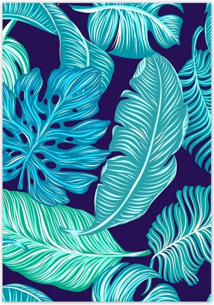 Poszterek 70x100 Levelek Monstery Trópusok