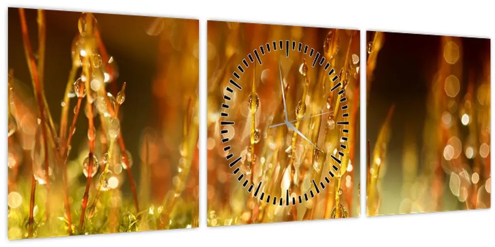 Kép - Harmat részlete (órával) (90x30 cm)