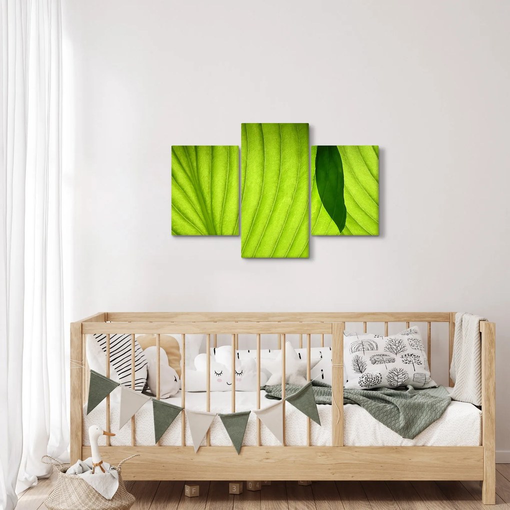 Kép - Zöld levél részlete (90x60 cm)
