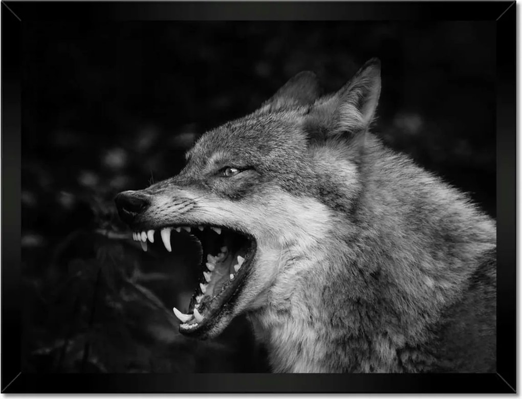 Poszterek keretben 40x30 Természet Emberség