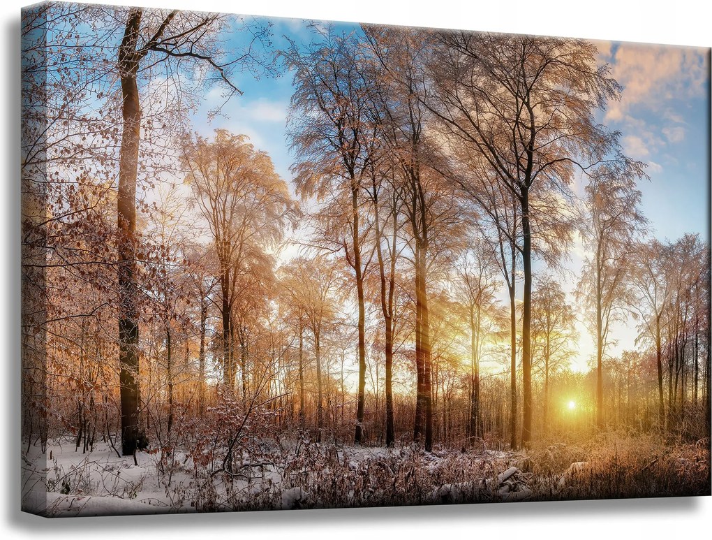 Vászonkép Fák Tél Felkelő Nap 60x40 cm Ideális ajándék