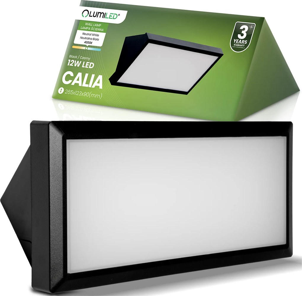 Homlokzati lámpa Kültéri Fali Kerti Fali lámpa 12W Led 4000K