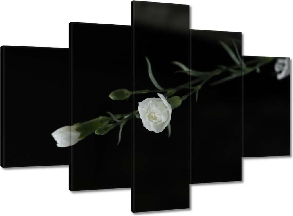 Vászonkép 150x105 Fehér szegfű virágok