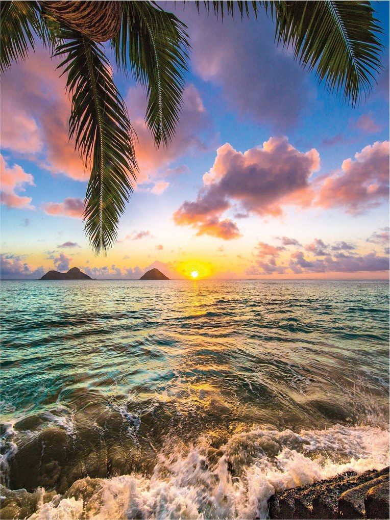 Fotótapéta Naplemente Óceán pálmafák vinil 184x254 +ragasztó