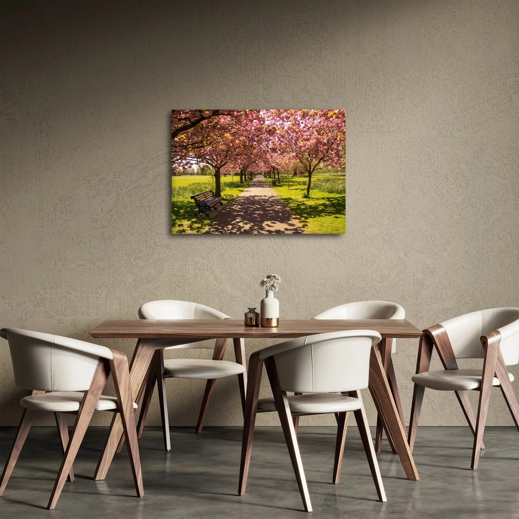Kép - cseresznye ültetvény (70x50 cm)
