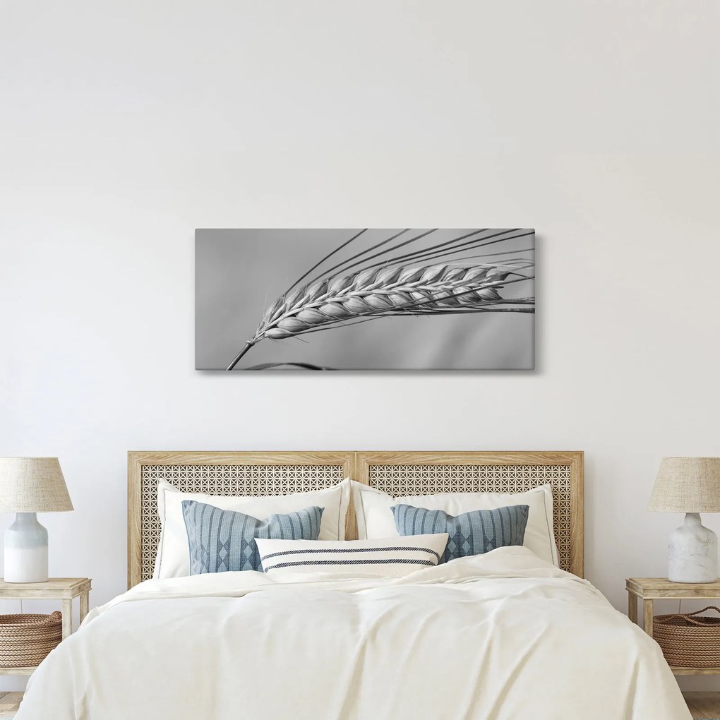 Kép - Búza, fekete-fehér (120x50 cm)