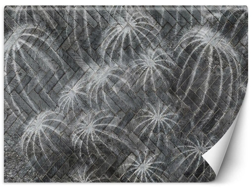 Gario Fotótapéta Kaktuszok szürke színben Anyag: Vlies, Méret: 250 x 175 cm