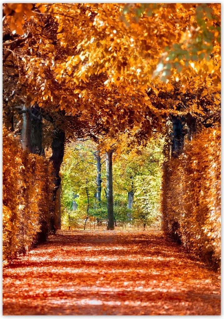 Poszterek 70x100 Tájkép Látvány