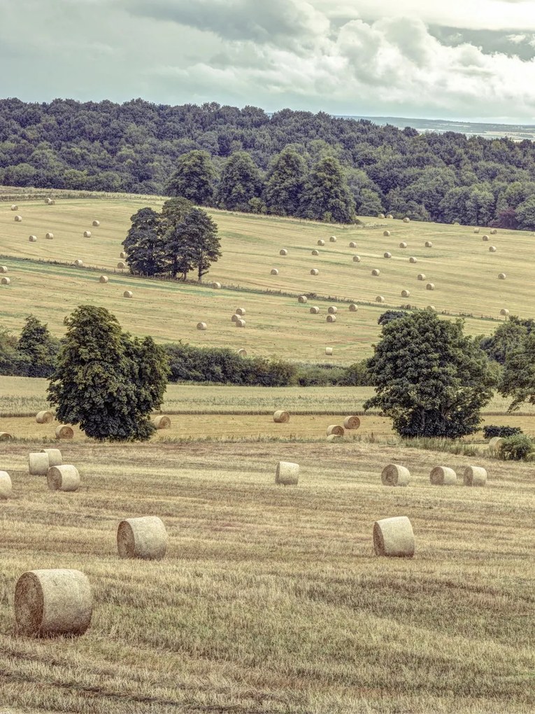 Poszter 60x80cm Szénakazalok a mezőkön 2, Assaf Frank