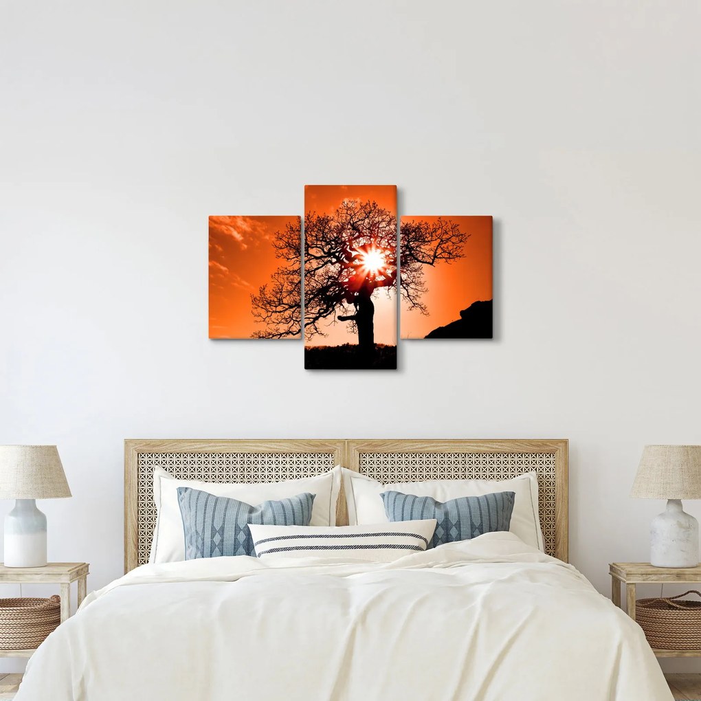 Kép - Tölgy napnyugtakor (90x60 cm)