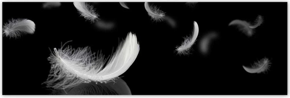 Fotótapéták 200x66 Hulló fehér tollak