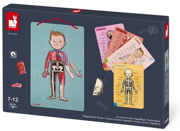 Janod - BODYMAGNET mágneses emberi test puzzle játék