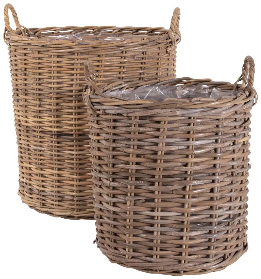 Indo kosarak, kubu rattan, natúr 2db
