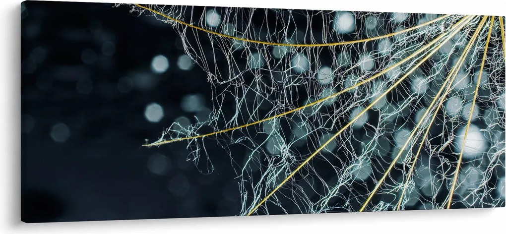 Kép - Virág pókhálóval (120x50 cm)