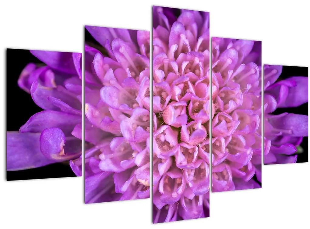 Részletes virágkép (150x105 cm)