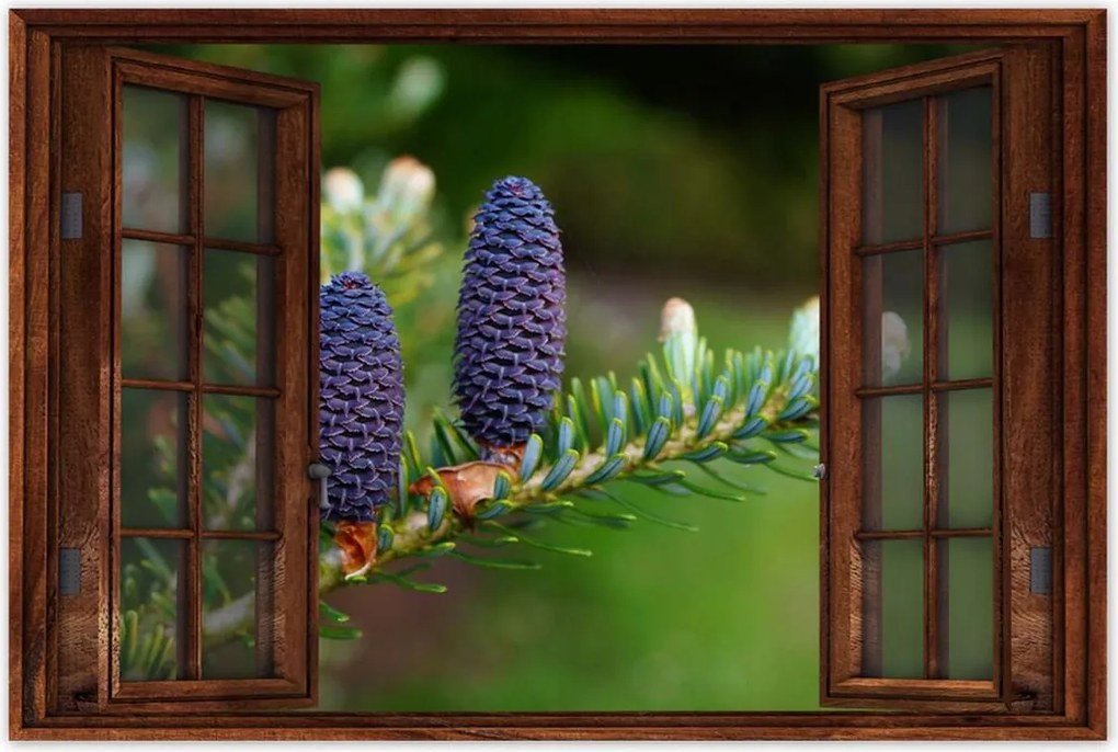 Poszterek 60x40 Lila tobozok