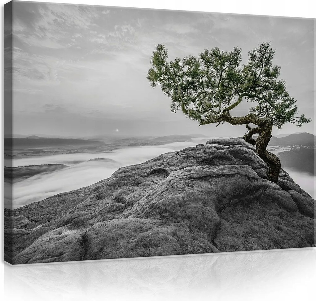 Vászonkép falikép képek hegyek csúcsok 100x75