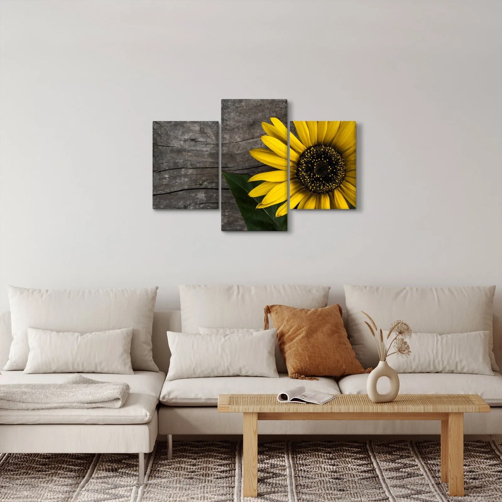 Kép - Napraforgó virága (90x60 cm)