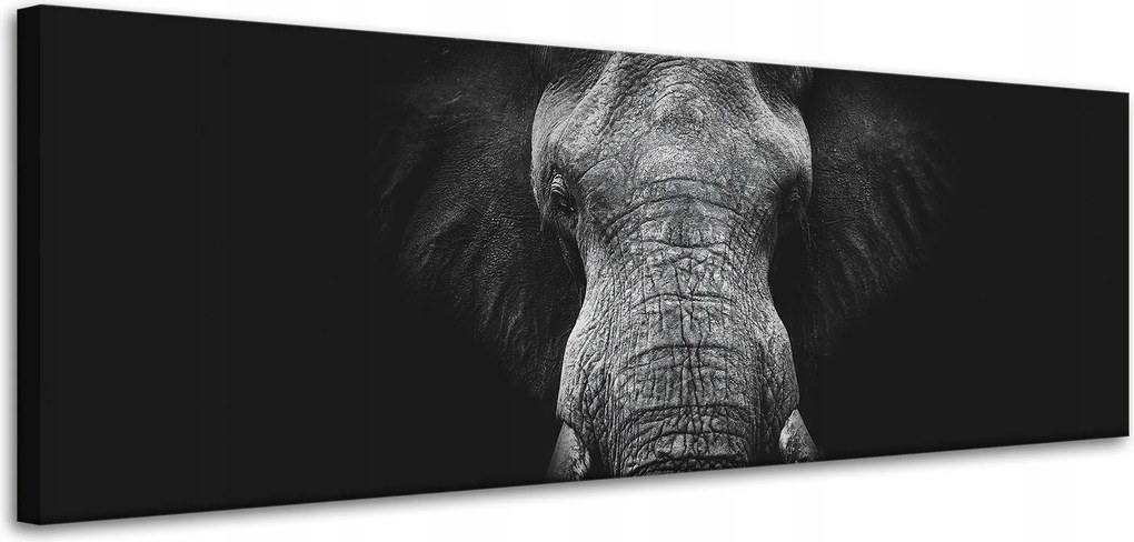 Vászonkép Szürke elefánt arca ormány agyar 120x40 cm